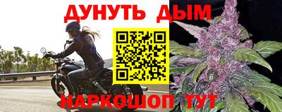индика Кингисепп