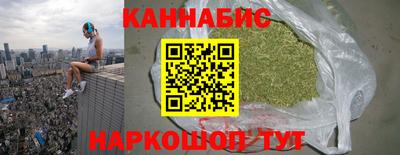 индика Кингисепп