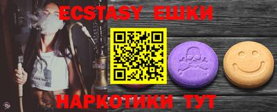 индика Кингисепп