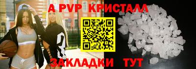 индика Кингисепп