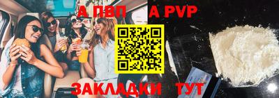индика Кингисепп