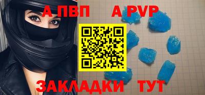 индика Кингисепп