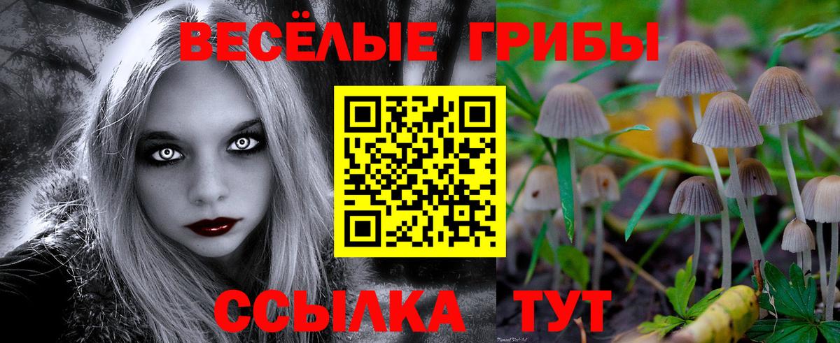 Псилоцибиновые грибы прущие грибы Ялта